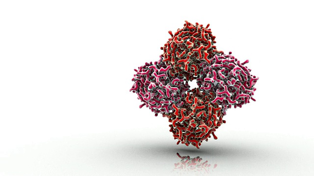 流感病毒神经氨酸酶分子结构的CU观点/牛津，牛津，英国视频素材