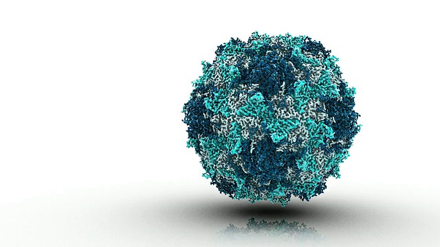 脊髓灰质炎病毒颗粒的有机分子结构/牛津，牛津，英国视频素材