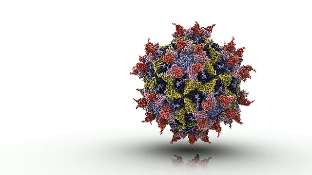 普通感冒病毒的分子结构/牛津，牛津，英国视频素材
