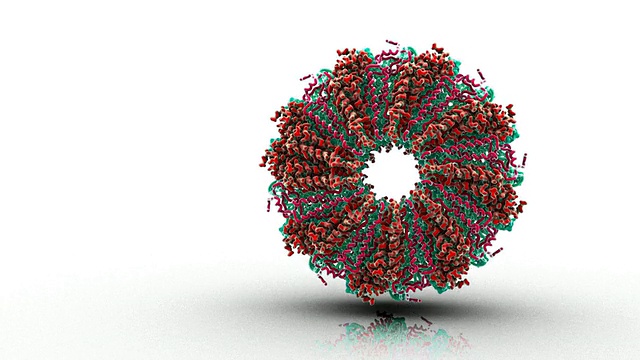 烟草花叶病毒的分子结构/牛津，牛津，英国视频素材