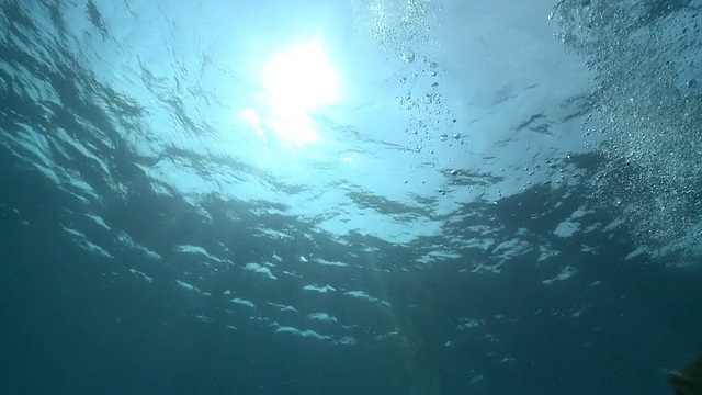 马尔代夫，潜水员发出“OK”和“Ascend”信号视频下载