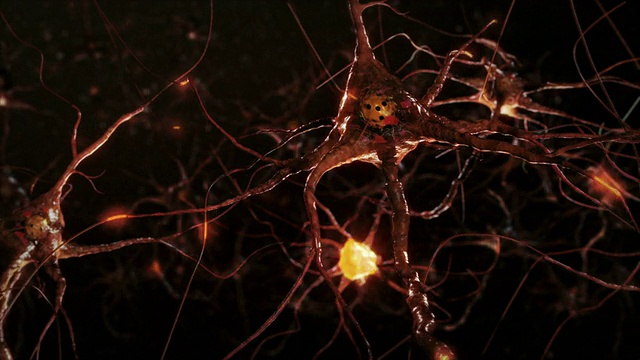 神经元细胞,突触。温暖的颜色。网络连接。大脑。视频下载