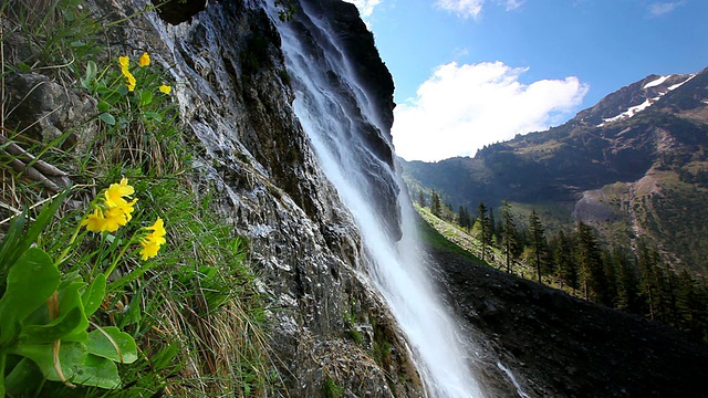 提洛尔瀑布与auricula，阿尔卑斯山，奥地利，泰洛视频素材