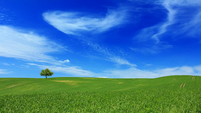 绿色的田野和蓝色的天空视频素材