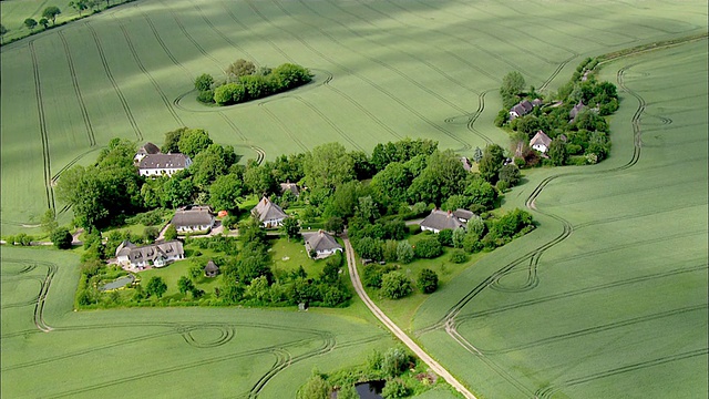 空中小姐DS的茅草房子在草地/ Siggeneben,德国石勒苏益格-荷尔斯泰因州视频下载