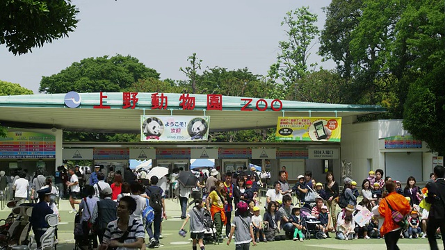 WS T/L父母带着孩子去动物园/东京，日本东京视频下载