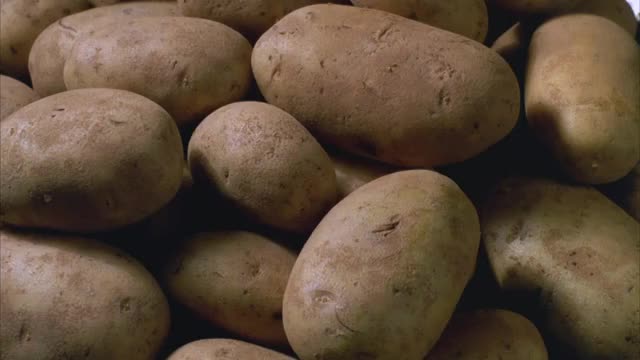 WS DS T/L土豆在发芽、腐烂和分解时旋转/美国加州圣巴巴拉视频下载