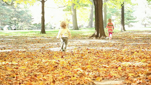 小男孩和小女孩躲在树后面逃跑/加拿大安大略省多伦多市视频素材