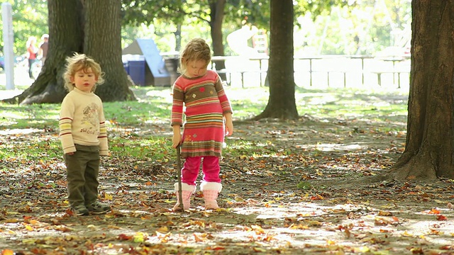 加拿大多伦多，安大略，男孩和女孩站在公园里，女孩抓着棍子视频素材
