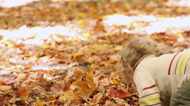 小男孩在落叶堆里玩耍/加拿大安大略省多伦多视频素材