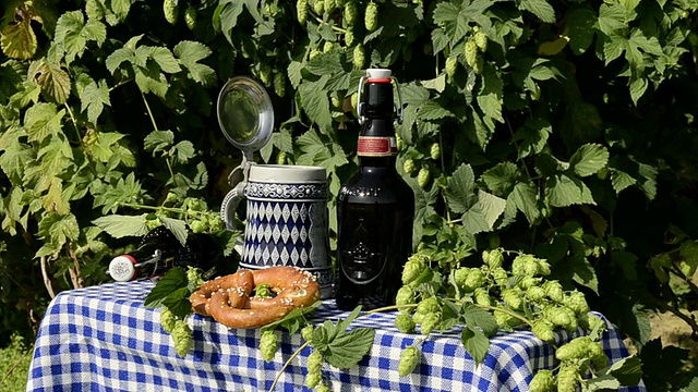 德国巴伐利亚州梅因堡啤酒花花园倒啤酒视频素材