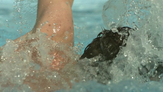 高速男子在游泳池里做爬泳，西班牙。(个别帧也可以用作静止图像。每一帧的原始状态大约是6MB或大约12MB作为16位TIFF格式)视频下载