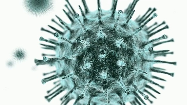 猪流感病毒颗粒(病毒粒子)。2009年的猪流感大流行是由一种H1N1亚型流感病毒引起的视频下载