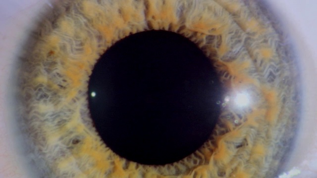 收缩和扩张瞳孔视频素材
