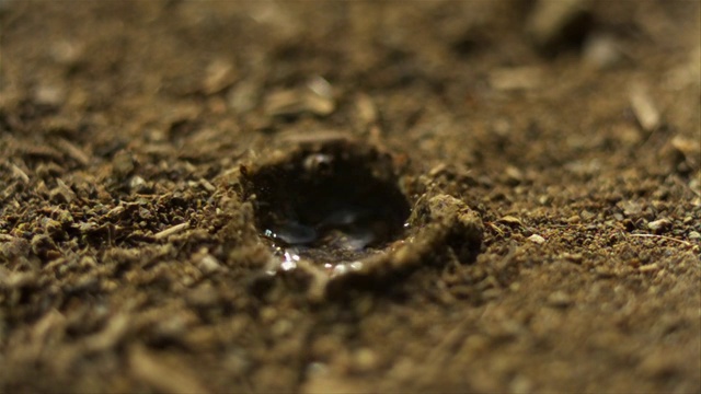 水滴落在干燥的土地上。拍摄速度为9000帧/秒(减慢360时间)视频素材