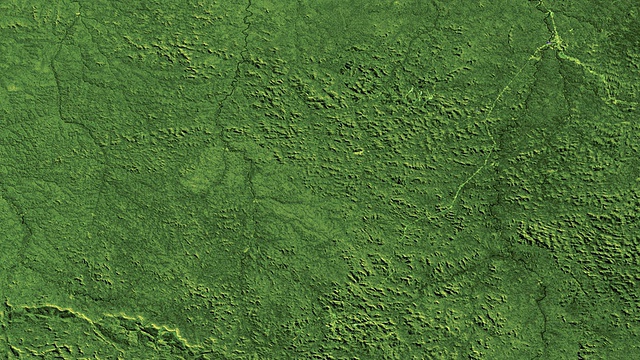 森林砍伐,巴西,1975 - 2001。这组陆地卫星图像显示了26年来巴西朗多尼亚地区的森林砍伐情况视频素材