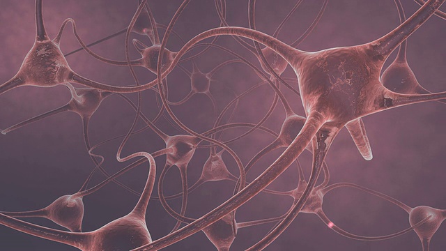神经元放电的动画视频素材