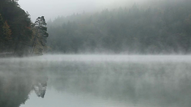 德国巴伐利亚Alatsee湖的晨雾视频下载