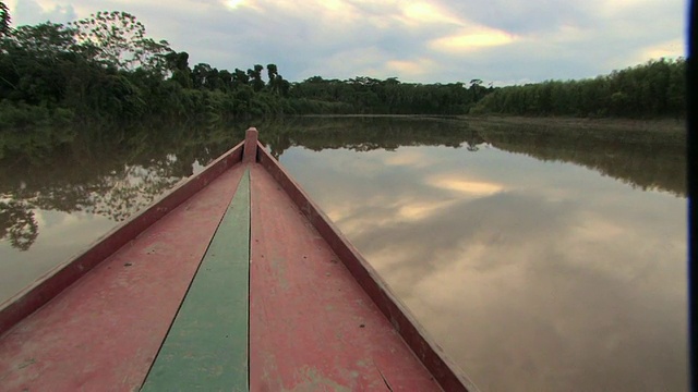 WS TS船POV河上/马努国家公园，秘鲁视频下载