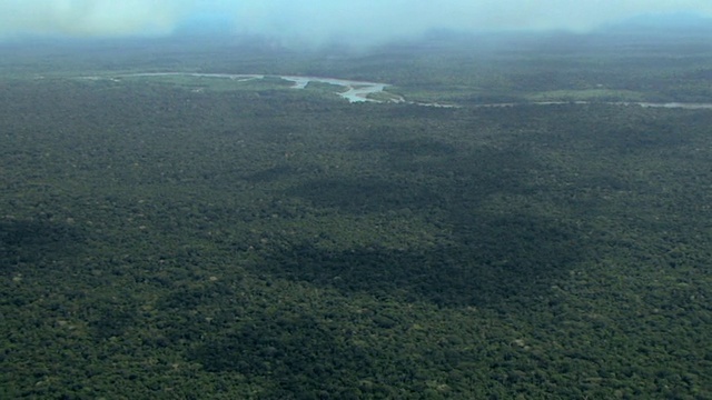 远处有河流的空中雨林/马努国家公园，秘鲁视频下载