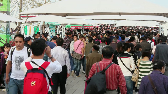2011年中国陕西西安世园会LS人群行走视频下载