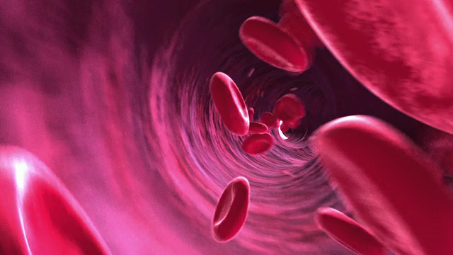 动画内窥镜下的血细胞通过血管进入明亮的光线视频素材