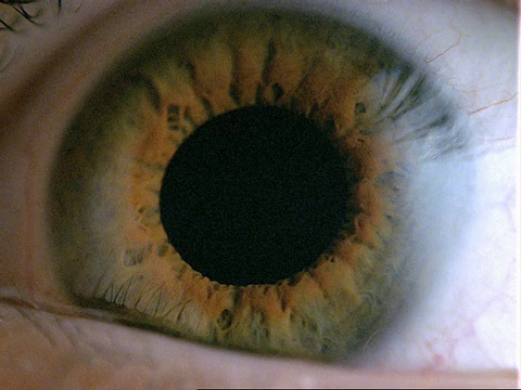 人眼——褐色眼睛，瞳孔收缩，眼睑闭合视频下载