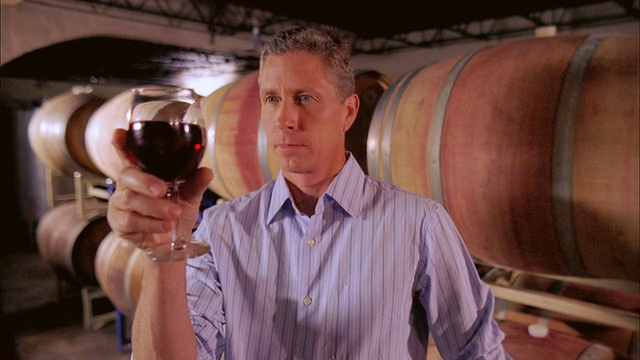 在美国纽约州万宝路的酒窖品尝葡萄酒视频下载
