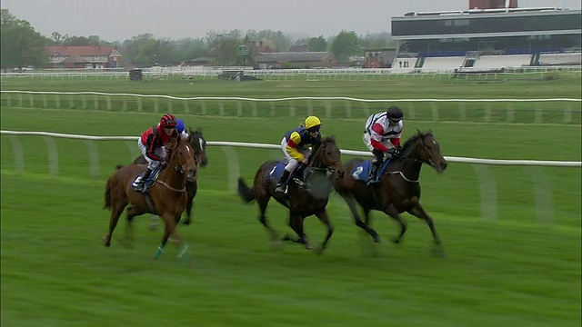 英国纽伯里赛马场，四名骑师骑着马在比赛开始时冲出大门，两匹领先的马齐头并进视频下载