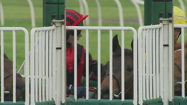 三名骑师在比赛前坐在大门内的马在纽伯里赛马场/英国纽伯里，英国视频下载