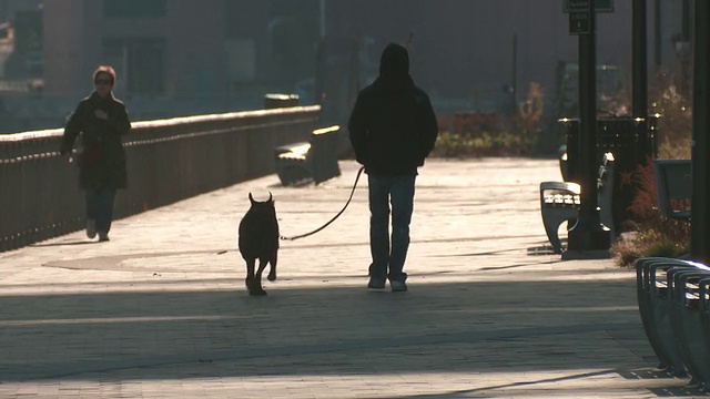 一名男子在曼哈顿东河边的一条小路上遛狗，而一名女子在正午时分风吹着的时候从远处走向摄像机视频素材
