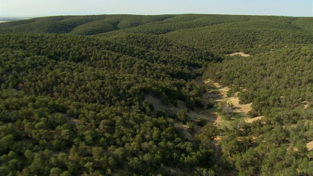 低空飞过灌木覆盖的丘陵视频素材