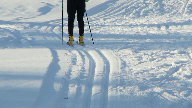 越野滑雪3视频素材