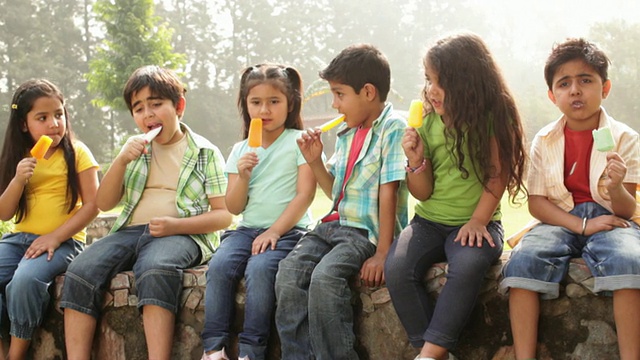 一群孩子在公园里吃冰淇淋视频下载