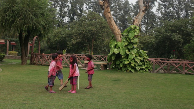 一群孩子在胡里节打板球视频素材