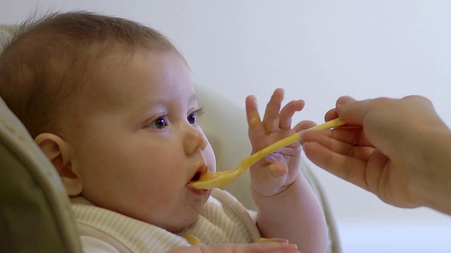 美国密歇根州安娜堡，母亲用勺子给女婴喂自制食物视频下载