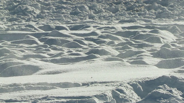 msts野牛在深雪中奔跑/黄石国家公园，怀俄明州，美国视频素材