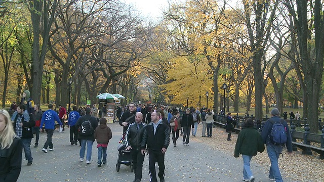 美国纽约，人们在中央公园散步视频素材