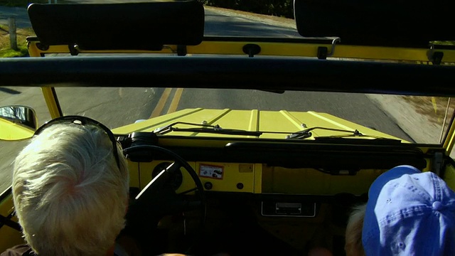 POV，在美国马萨诸塞州北特鲁罗的乡村道路上驾驶SU的资深男子视频素材