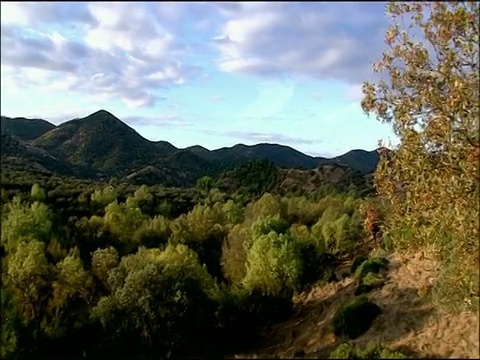 潘穿越森林景观，秋天，Sierra Morena，安达卢西亚，西班牙南部视频素材