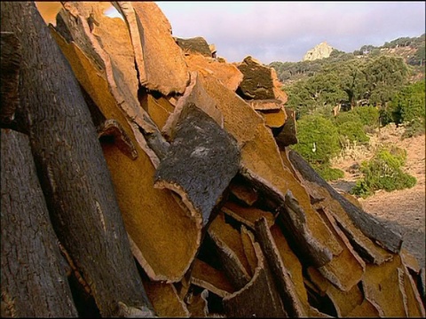 堆积软木(栓皮栎属)，安达卢西亚，西班牙南部视频下载