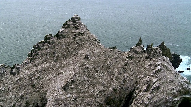 爱尔兰明斯特的凯里，坐在小Skellig岩上的高空WS DS塘鹅视频下载
