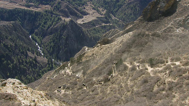 游牧妇女和马从陡峭的山路上下山/靠近岭莫村，喜马拉雅山，尼泊尔上Dolpo视频素材