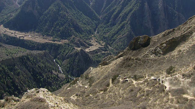 牦牛车队下到遥远的山谷/靠近岭莫村，喜马拉雅山，上Dolpo，尼泊尔视频素材