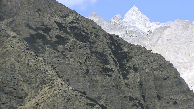 MS POV Yak商队行走在尼泊尔上Dolpo喜马拉雅山Phoksundo湖上狭窄的岩石悬崖上视频素材