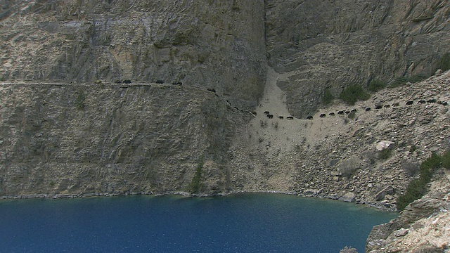 尼泊尔杜坡上，WS牦牛商队沿着波克桑多湖/喜马拉雅山上狭窄的岩石山路下行视频素材