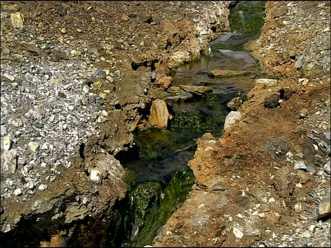 西班牙安达卢西亚，韦尔瓦，拓拓，富含矿物质的水中的藻类视频下载
