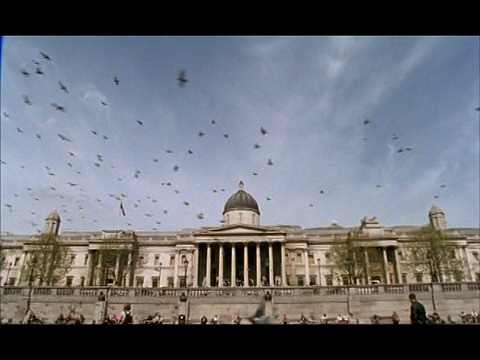 西特拉法加广场，鸟群飞过天空，英国伦敦视频素材