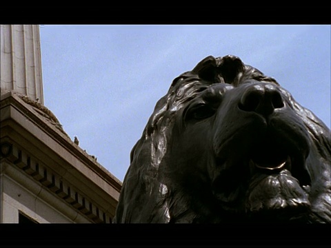 英国伦敦，纳尔逊圆柱底部的狮子低角度视频素材