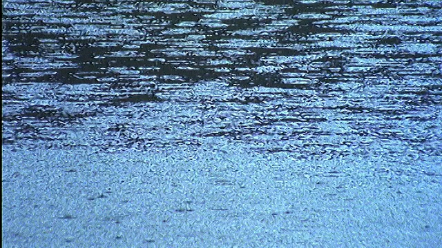 雨落在水上的特写视频素材
